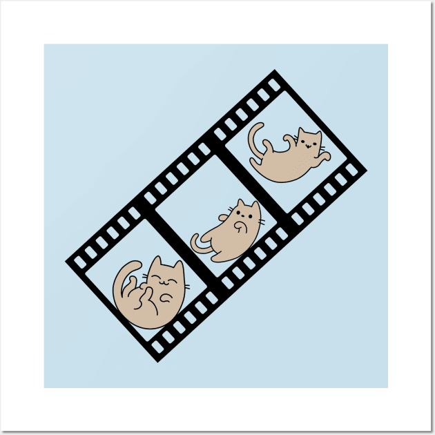 Cat slide three frames photography Wall Art by GlanceCat